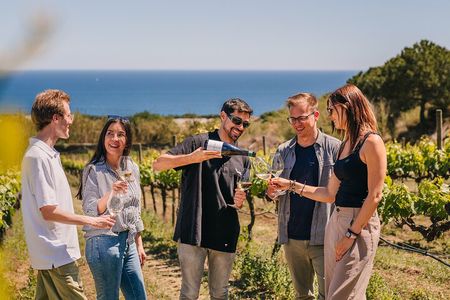 Barcelona Sailing Adventure and Small Group Winery Tasting Tour