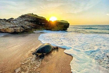 2-day Private Tour to Ras Al Hadd 