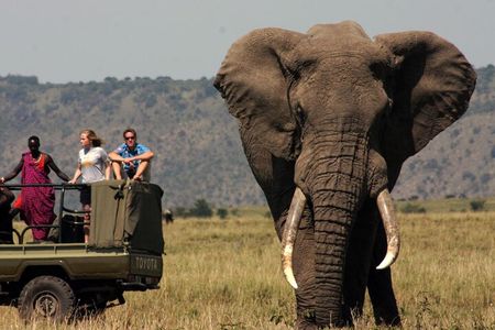 10 Day Cape Town to Johannesburg: Garden Route & Kruger Park Tour