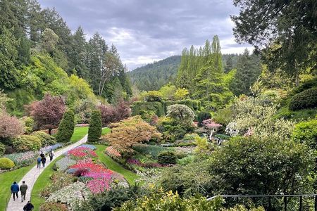 Victoria City and Butchart Gardens Private Tour