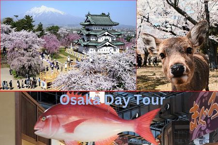 Nara, Todaiji Temple & Kuroshio Market Day BUS Tour from Osaka