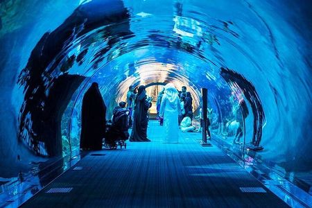 Dubai Aquarium Underwater Zoo Penguin Cove Ticket with options