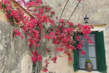 Olive oil, Honey, Cheese & Wine - Chania Villages Gastronomy Tour
