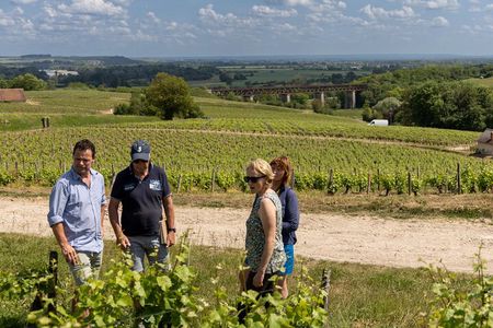 Day Trip to the Sancerre and Pouilly Vineyards