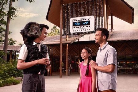 Singapore Night Safari Ticket Experience