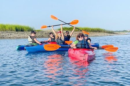 2 Hour Kayak Hilton Head Dolphin and Nature Tour