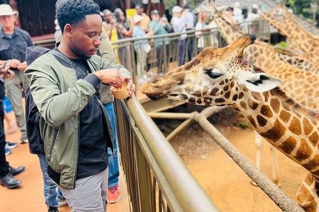 Nairobi National Park Giraffe Center Carnivore Lunch