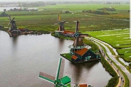 Tulips and Windmills Private Tour from Amsterdam