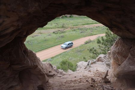 Wildlife and Iconic Roads: The Black Sheep Tour
