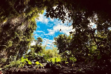 Discover Tahiti in Shared Circuit 