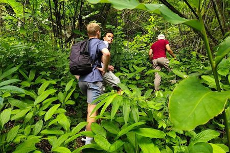 From Chiang Rai Jungle Adventure Group Trekking Bamboo Cooking