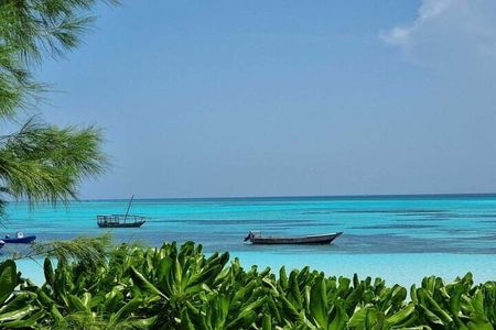 Mnemba Island Half Day Live Aquarium With Transfer - Zanzibar