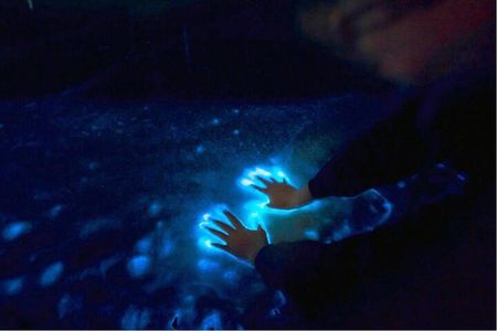 Sunset and Bioluminescence Boat Tour at Los Arcos Islands