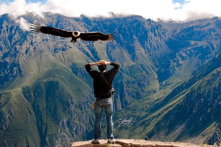 2 Days and 1 Night Tour from Puno to Colca Canyon and Arequipa