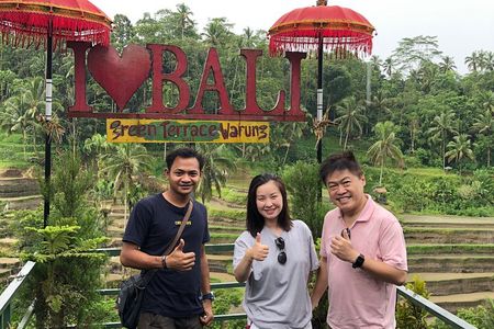 Best Of Ubud Half Day Private Guided Tour