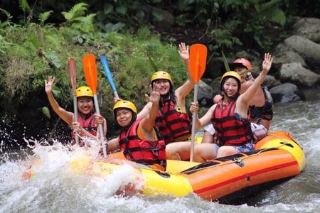 Private Day Trip Bali Rafting, Monkey Forest and Waterfall