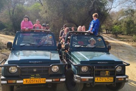 Golden Triangle Tour with Ranthambore