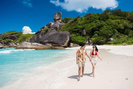 Similan Islands Turtles Tour By Speed Boat Pick up from Phuket