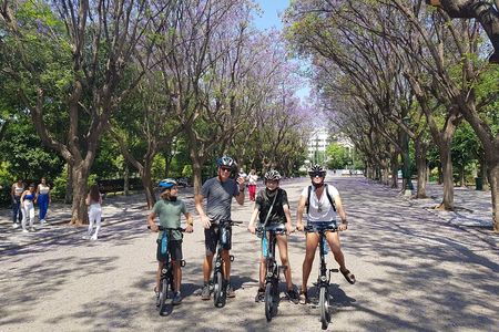 Discover the City Private e-bike tours