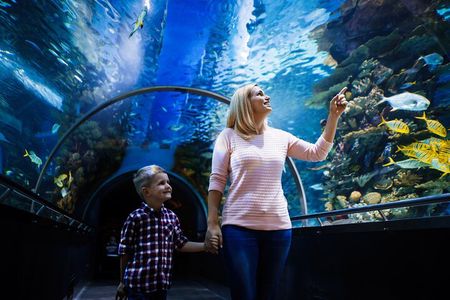 Antalya Aquarium, Wax Museum, Snow World, Wild Park, XD Cinema