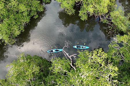 Kayaking Tour Chiriqui
