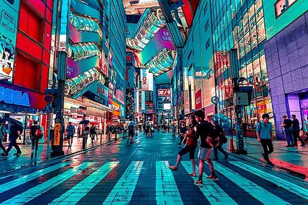 Customizable Private Tokyo Tour with English Speaking Driver