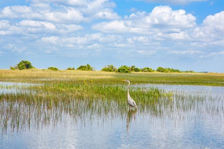 3h Boat Safari - Montreal’s Nature and Iconic Attractions Tour
