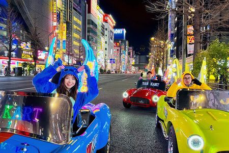 Tokyo：Akihabara Flash Go Kart Street Tour (including guide)
