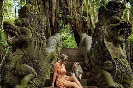 Full Day Private Ubud Tour - All Inclusive