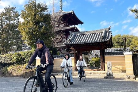 E-Bike Tour through Ikaruga’s Temples and Countryside