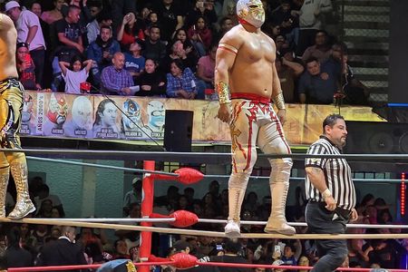 Mexico City Lucha Libre with Hotel Pickup