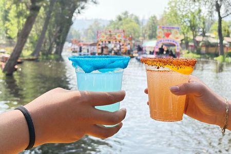 Mexican Festival and Drinks in Trajineras de Xochimilco 