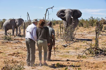 3 Day Etosha National Park Safari from Windhoek