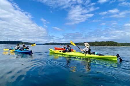 Guided Kayak Tour To Hope Island State Park