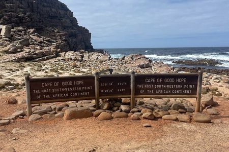 Cape Point Cape of Good Hope and Penguins Private Tour