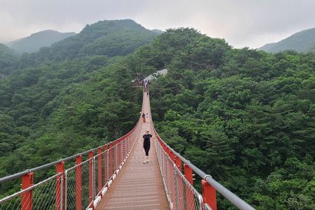 DMZ Private tour & Suspension Bridge 