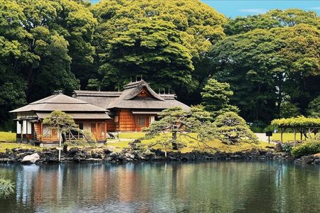 Tokyo Bay and Tsukiji Fish Market