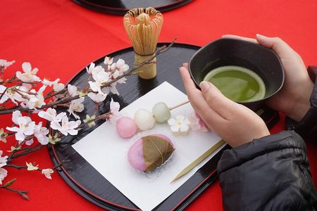 Matcha Picnic in Tokyo – A Unique Cultural Outdoor Experience