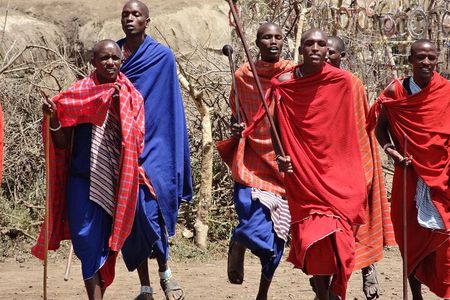 Amboseli day Escape: Private Tour