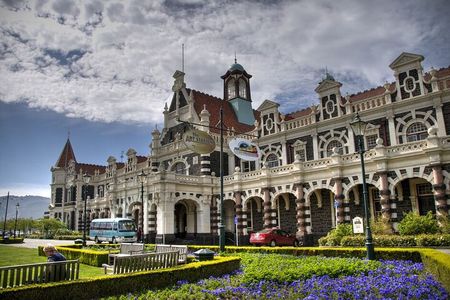 Dunedin 4 Hrs halfday Private Tour 
