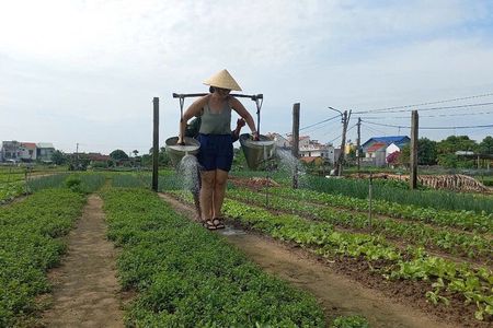Hoi An Countryside Bike Tour with Basket Boat and Cooking Class