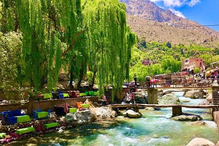 Discover the majestic Atlas Mountains and waterfalls