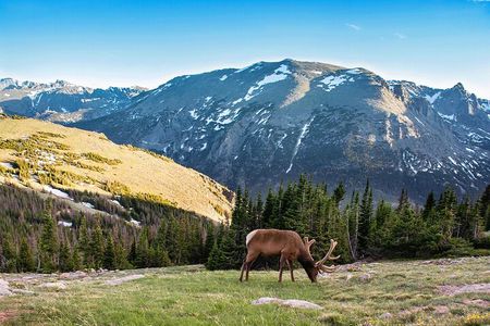 Discover Rocky Mountain National Park