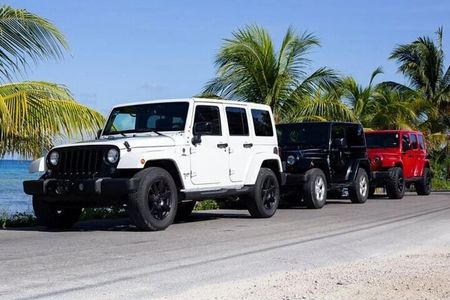 Cozumel Private Tour by Jeep Groups up to 4 People