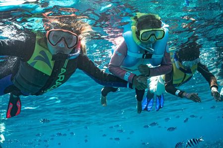 Kuata Island Marine Conservation Experience with Lunch 