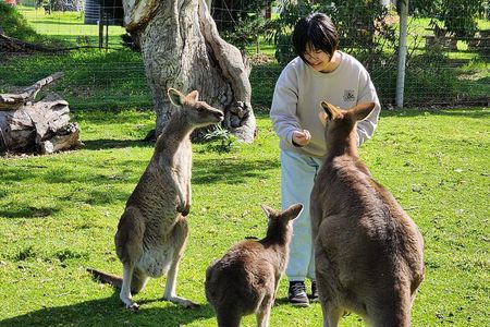 Adelaide Hills Cleland Wildlife Park and Hahndorf Minibus Tour