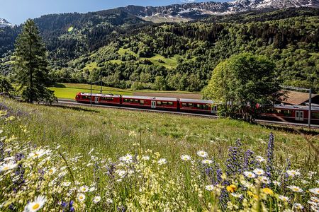 From Milan: Bernina Express Day Trip to Tirano & St. Moritz