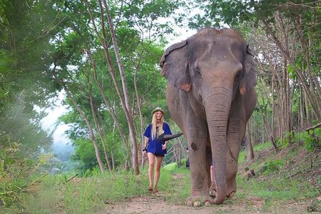 Ethical Elephant Sanctuary Tour from Bangkok & Pattaya