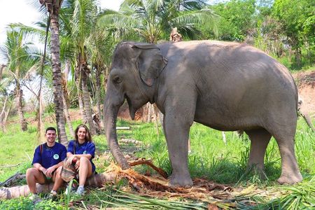 Ethical Elephant Sanctuary Tour from Bangkok & Pattaya