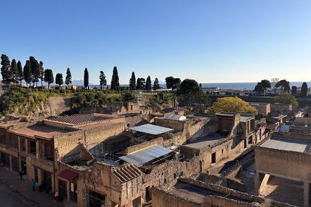 Early bird Herculaneum Tour Beat the Heat